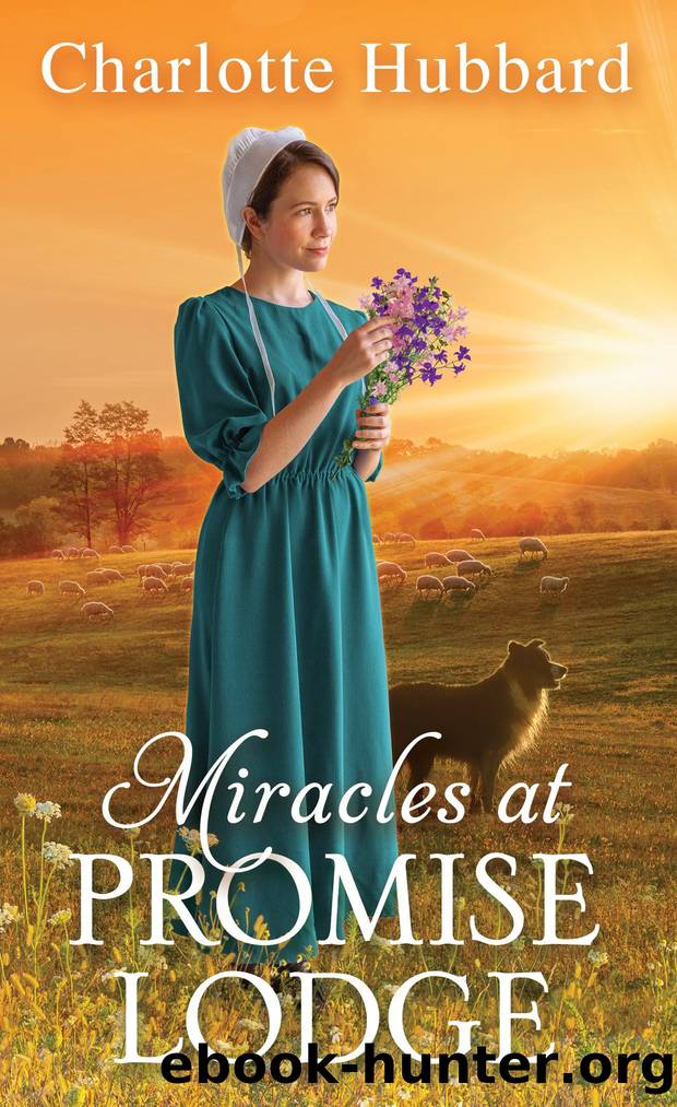 Miracles at Promise Lodge by Charlotte Hubbard