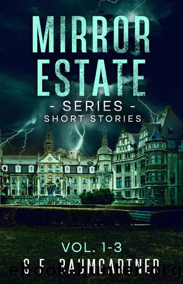 Mirror Estate Series: Short Stories Collection Vol. 1-3 by Baumgartner S.F