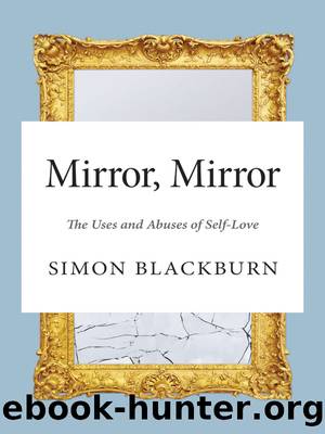Mirror, Mirror by Blackburn Simon