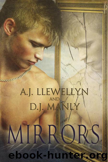 Mirrors by A.J. Llewellyn