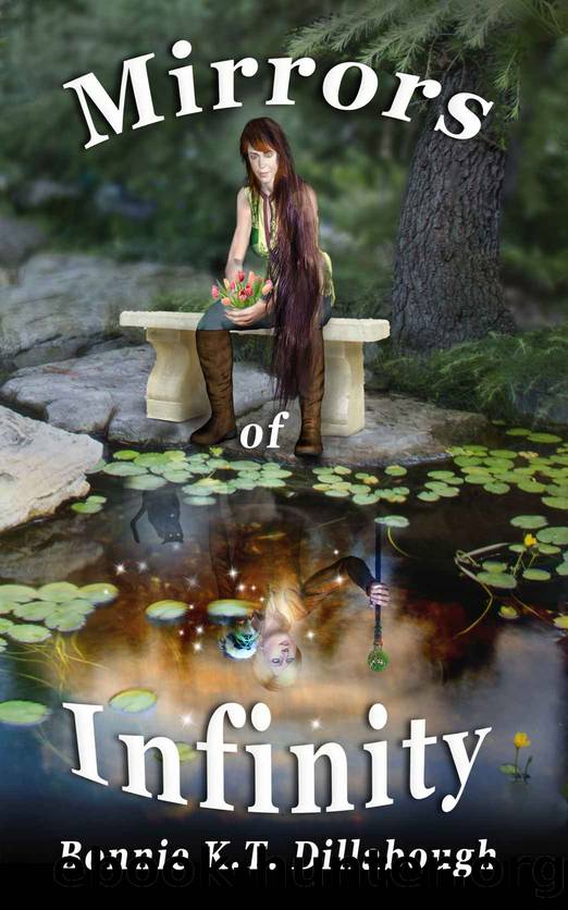 Mirrors of Infinity: Third Book in the Dimensional Alliance Series by Bonnie K.T. Dillabough
