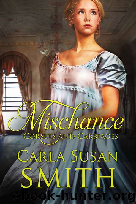 Mischance by Smith Carla Susan
