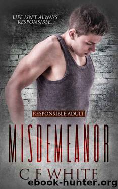 Misdemeanor (Responsible Adult Book 1) by C F White