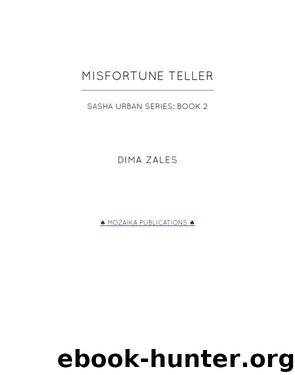 Misfortune Teller by Dima Zales