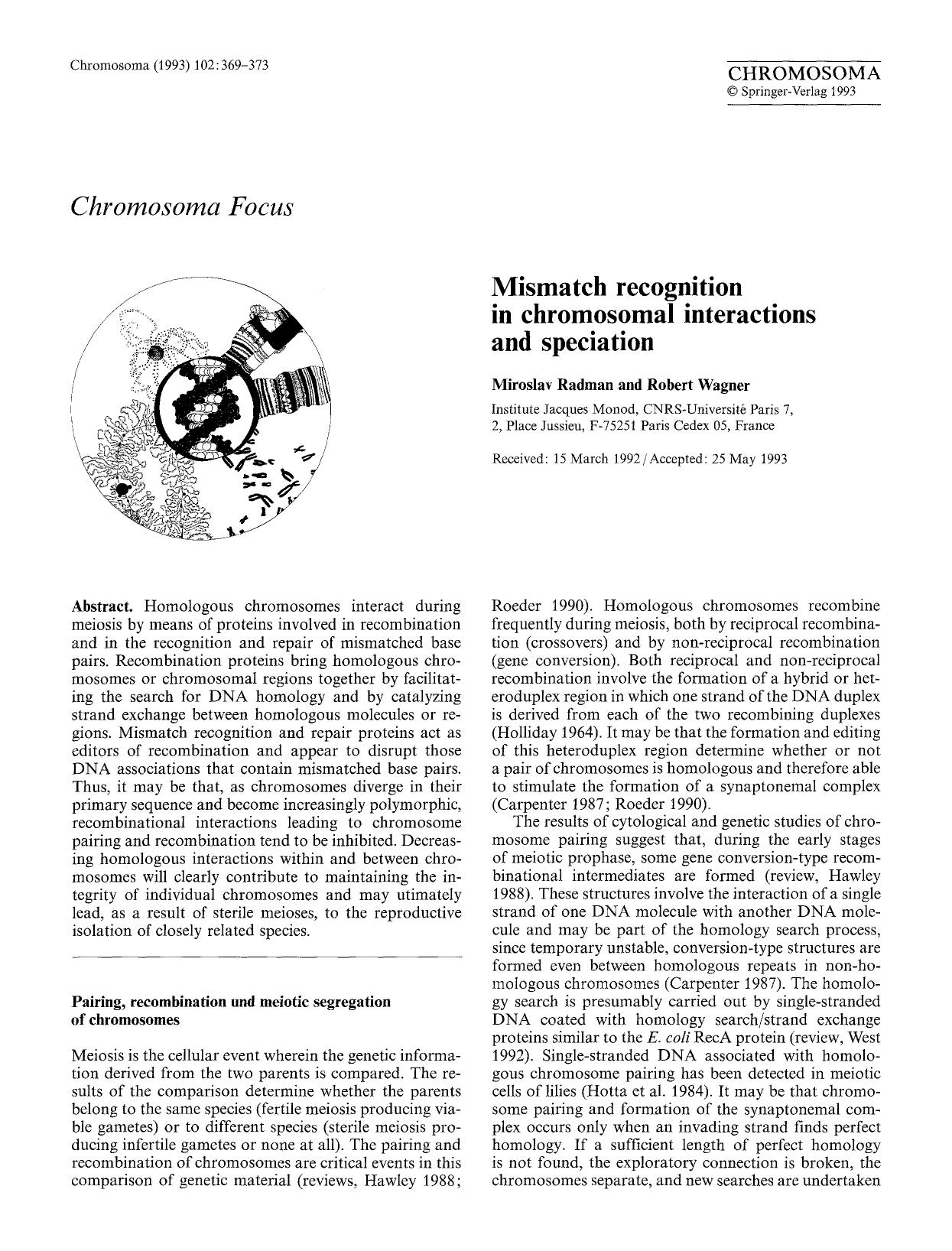 Mismatch recognition in chromosomal interactions and speciation by Unknown