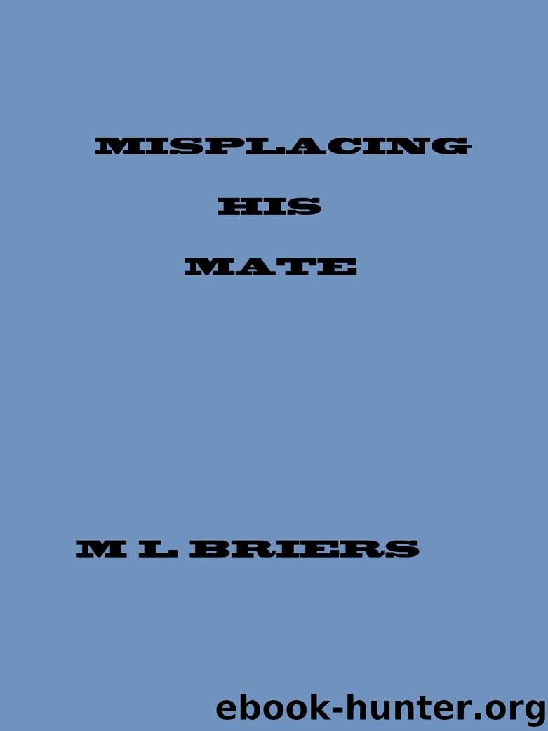 Misplacing His Mate by M. L. Briers