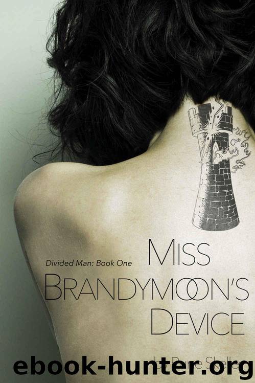 Miss Brandymoon's Device: a novel of sex, nanotech, and a sentient lava lamp (Divided Man Book 1) by Skelley Rune