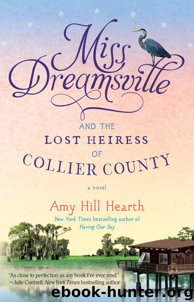 Miss Dreamsville and the Lost Heiress of Collier County by Amy Hill Hearth