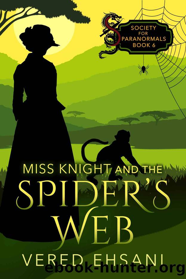 Miss Knight and the Spider's Web by Vered Ehsani