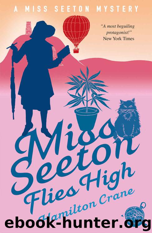 Miss Seeton Flies High (A Miss Seeton Mystery Book 23) by Hamilton Crane & Heron Carvic