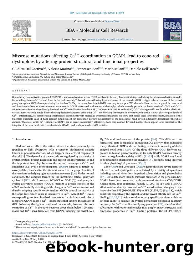 Missense mutations affecting Ca2+-coordination in GCAP1 lead to cone-rod dystrophies by altering protein structural and functional properties by Giuditta Dal Cortivo & Valerio Marino & Francesco Bonì & Mario Milani & Daniele Dell'Orco