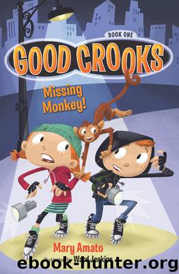 Missing Monkey! by Mary Amato