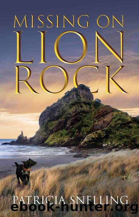 Missing On Lion Rock by Patricia Snelling