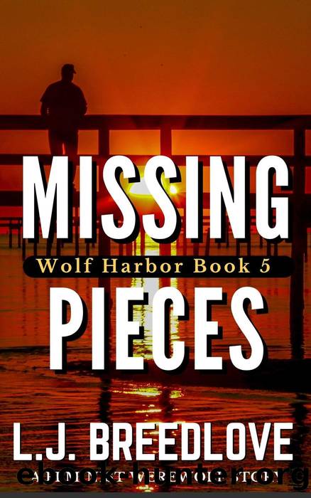 Missing Pieces by L.J. Breedlove