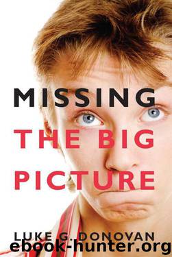 Missing the Big Picture by Donovan Luke