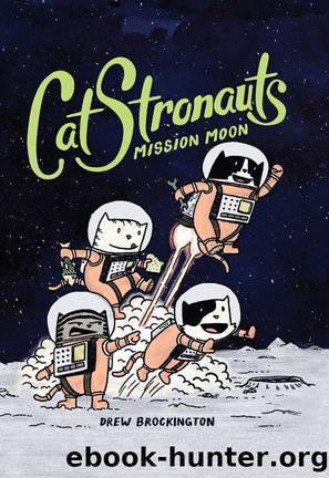 Mission Moon by Drew Brockington
