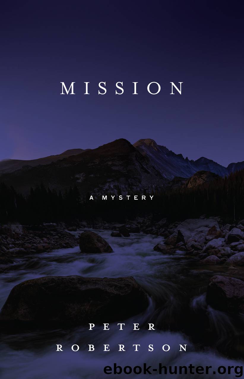 Mission by Peter Robertson