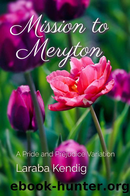 Mission to Meryton by Kendig Laraba