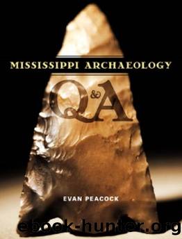 Mississippi Archaeology Q & A by Evan Peacock