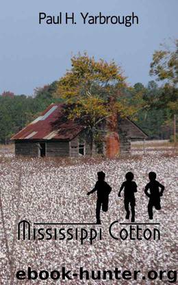 Mississippi Cotton by Paul H. Yarbrough