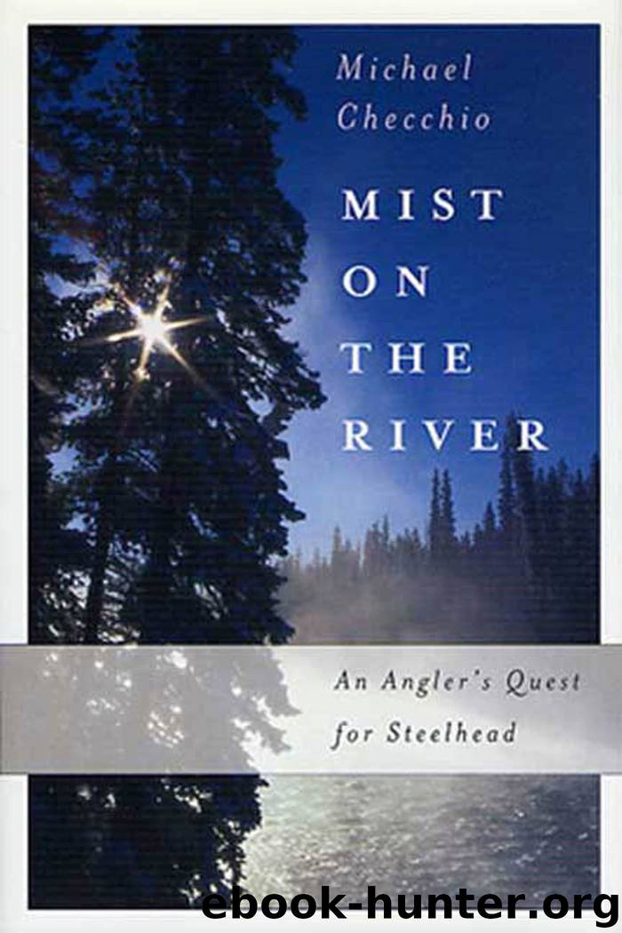 Mist on the River by Michael Checchio