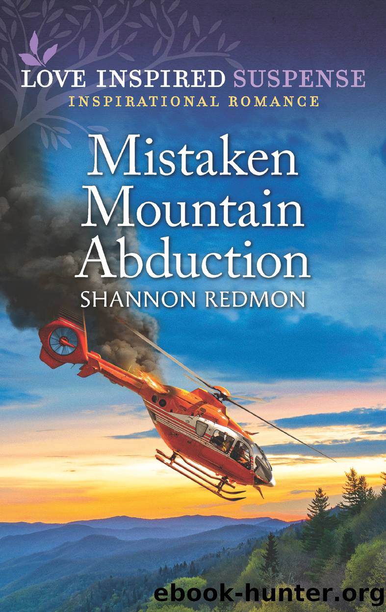 Mistaken Mountain Abduction by Shannon Redmon