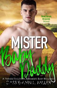 Mister Baby Daddy (Bad Boys in Love Book 3) by Cassie-Ann L. Miller