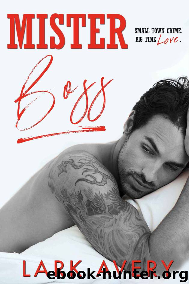 Mister Boss by Lark Avery
