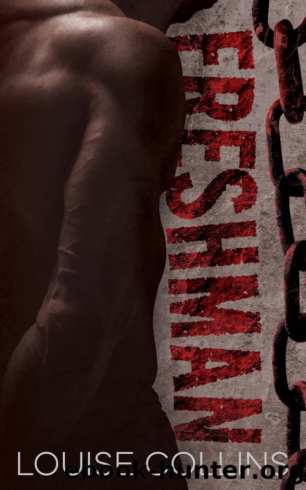 Mister Fireman (The Mister Series Book 10) by B. Love