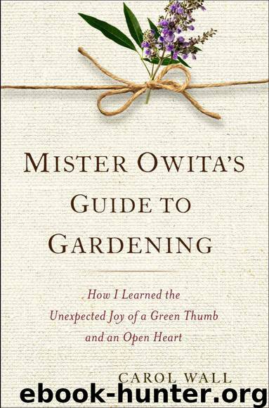 Mister Owita's Guide to Gardening: How I Learned the Unexpected Joy of a Green Thumb and an Open Heart by Wall Carol