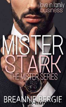 Mister Stark: A Billionaire Age Gap Enemies to Lovers Pregnancy Romance (Mister Series Book 4) by Breanne Bergie