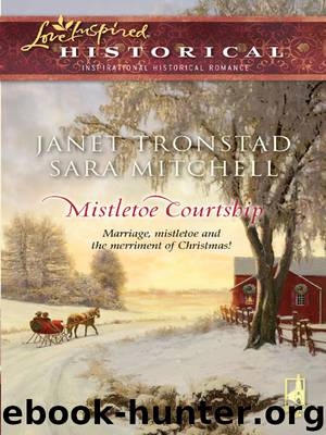 Mistletoe Courtship by Janet Tronstad