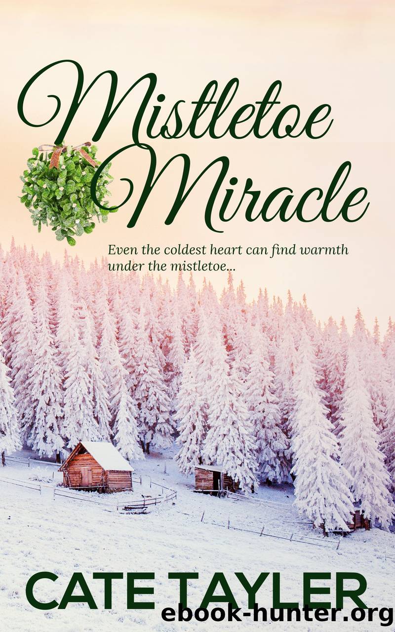 Mistletoe Miracle by Cate Tayler