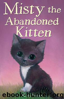 Misty the Abandoned Kitten by Holly Webb