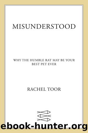 Misunderstood by Rachel Toor