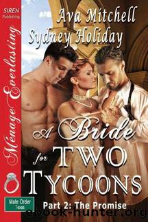 Mitchell, Ava and Holiday, Sydney - A Bride for Two Tycoons [The Male Order, Texas Collection] (Siren Publishing MÃ©nage Everlasting) by Ava Mitchell; Sydney Holiday