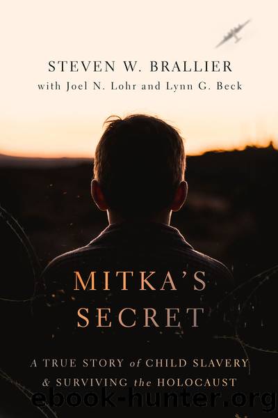 Mitka's Secret by Steven W. Brallier