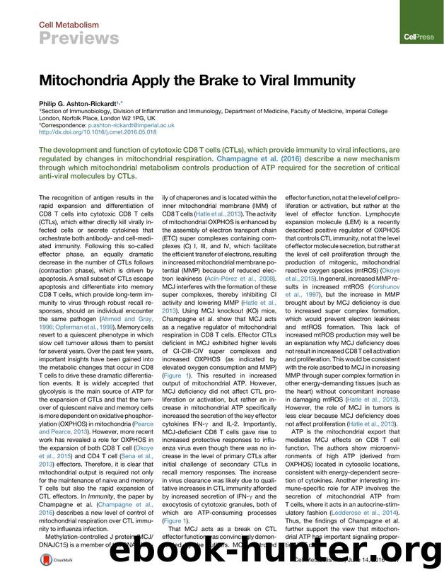 Mitochondria Apply the Brake to Viral Immunity by Philip G. Ashton-Rickardt
