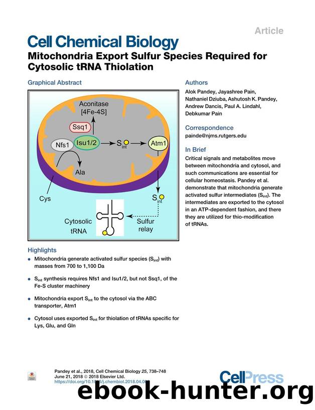 Mitochondria Export Sulfur Species Required for Cytosolic tRNA Thiolation by unknow