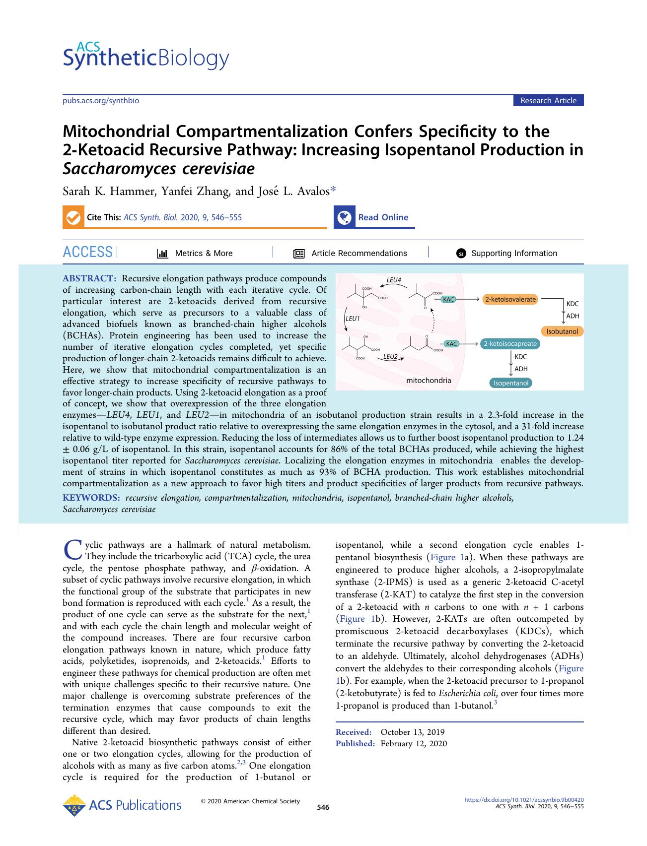 Mitochondrial Compartmentalization Confers Specificity to the 2-Ketoacid Recursive Pathway: Increasing Isopentanol Production in Saccharomyces cerevisiae by Sarah K. Hammer Yanfei Zhang and José L. Avalos