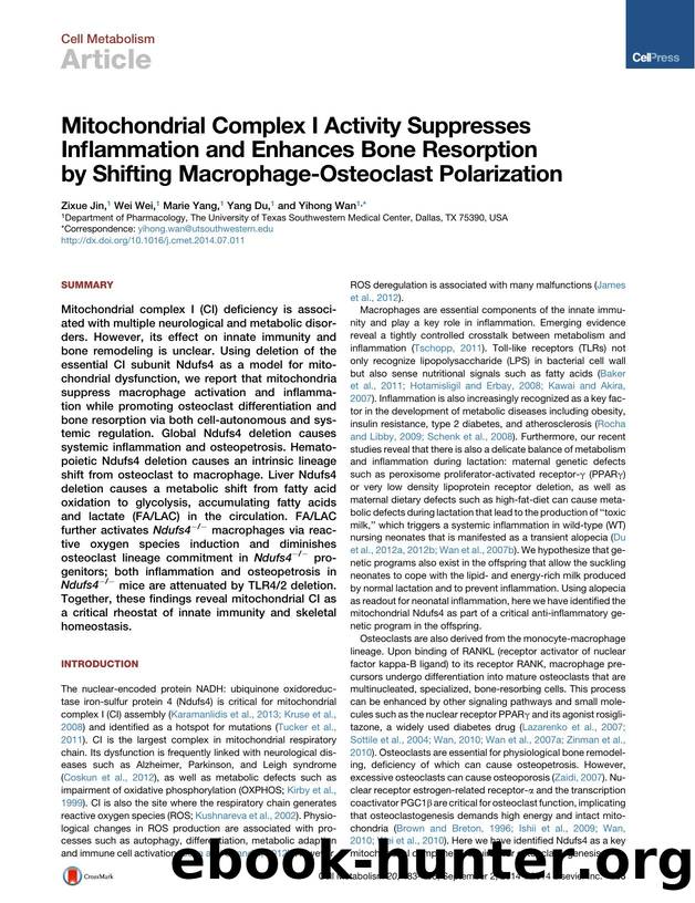 Mitochondrial Complex I Activity Suppresses Inflammation and Enhances Bone Resorption by Shifting Macrophage-Osteoclast Polarization by Zixue Jin & Wei Wei & Marie Yang & Yang Du & Yihong Wan