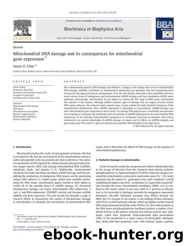 Mitochondrial DNA damage and its consequences for mitochondrial gene expression by Susan D. Cline