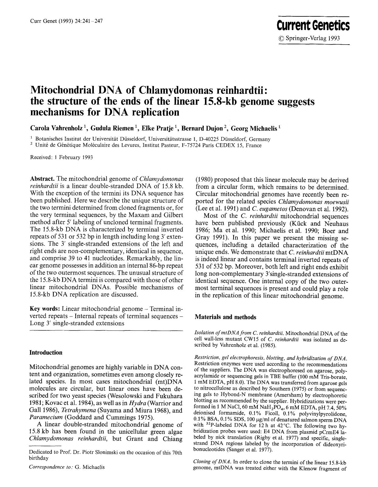 Mitochondrial DNA of Chlamydomonas reinhardtii: the structure of the ends of the linear 15.8-kb genome suggests mechanisms for DNA replication by Unknown