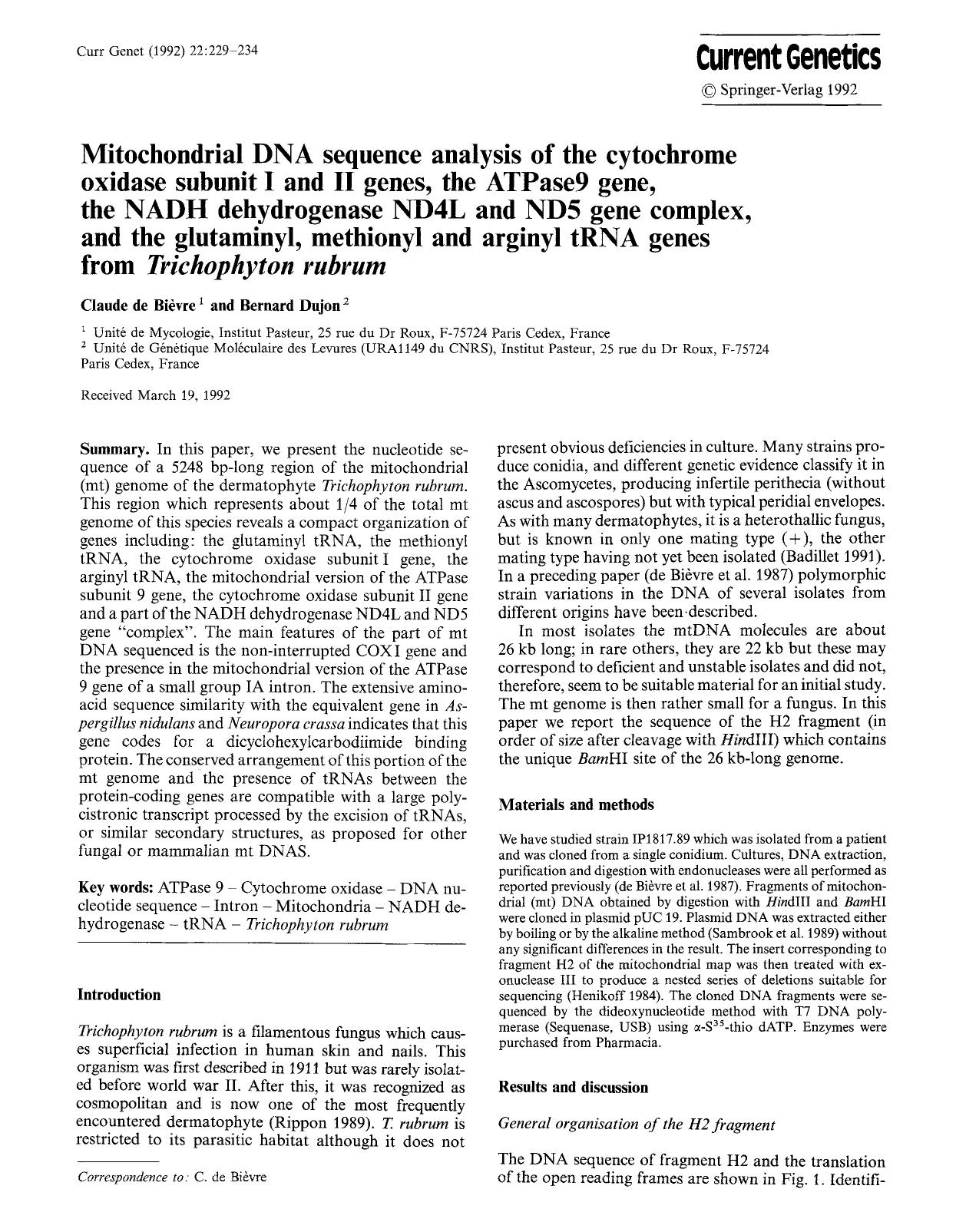 Mitochondrial DNA sequence analysis of the cytochrome oxidase subunit I and II genes, the ATPase9 gene, the NADH dehydrogenase ND4L and ND5 gene complex, and the glutaminyl, methio by Unknown