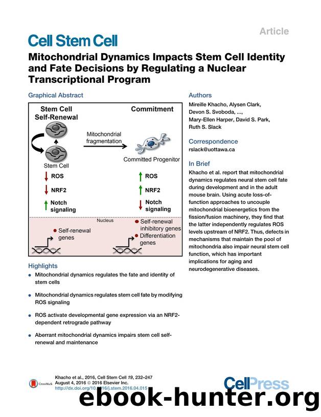 Mitochondrial Dynamics Impacts Stem Cell Identity and Fate Decisions by Regulating a Nuclear Transcriptional Program by unknow