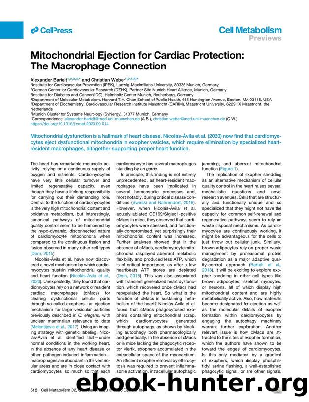 Mitochondrial Ejection for Cardiac Protection: The Macrophage Connection by Alexander Bartelt & Christian Weber