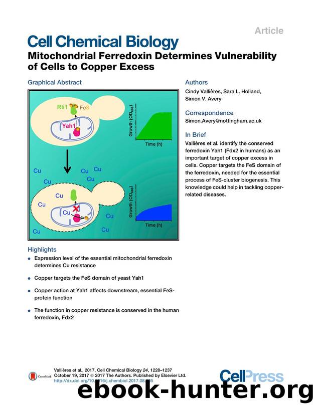 Mitochondrial Ferredoxin Determines Vulnerability of Cells to Copper Excess by Cindy Vallières & Sara L. Holland & Simon V. Avery