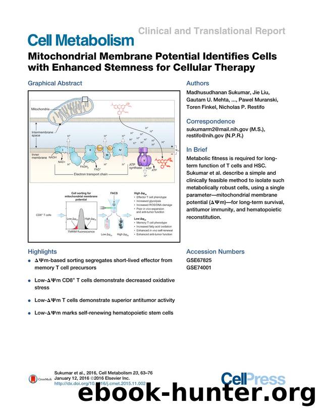 Mitochondrial Membrane Potential Identifies Cells with Enhanced Stemness for Cellular Therapy by unknow