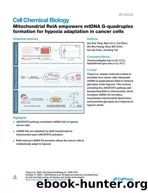 Mitochondrial RelA empowers mtDNA G-quadruplex formation for hypoxia adaptation in cancer cells by Gui-Xue Tang & Mao-Lin Li & Cui Zhou & Zhi-Shu Huang & Shuo-Bin Chen & Xiu-Cai Chen & Jia-Heng Tan