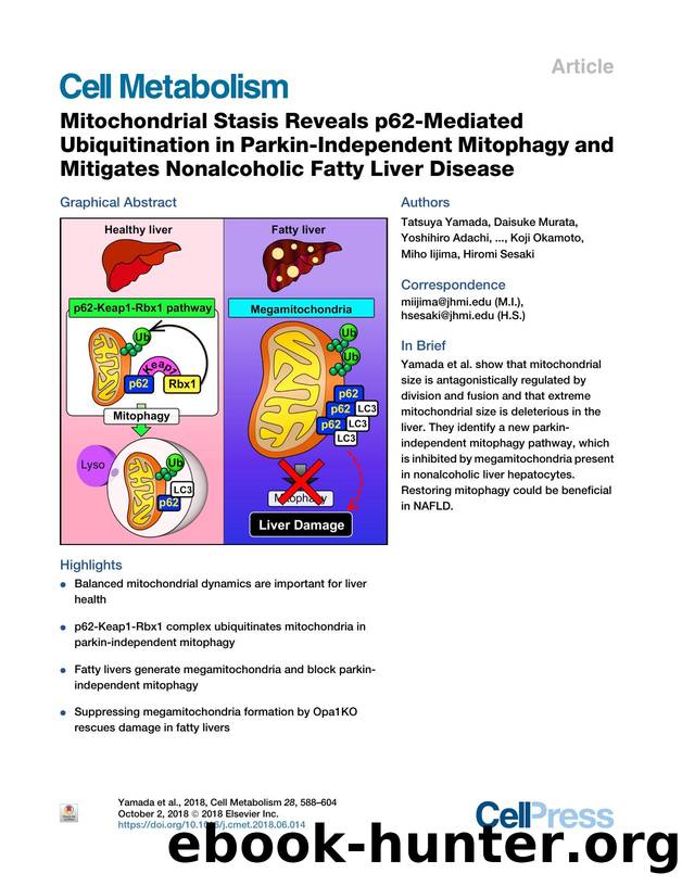 Mitochondrial Stasis Reveals p62-Mediated Ubiquitination in Parkin-Independent Mitophagy and Mitigates Nonalcoholic Fatty Liver Disease by unknow